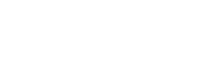 Daytona Automobiles logo blanc sans fond (650x234)