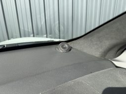 
										ALPINE A110 S (II) 1.8 TCe 300cv EDC7 full									