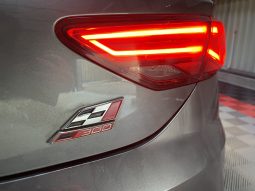 
										SEAT LEON Cupra 300 DSG full									