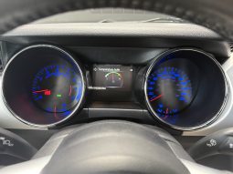 
										Ford Mustang GT Fastback – 5.0 V8 full									