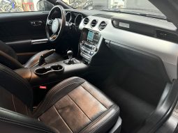 
										Ford Mustang GT Fastback – 5.0 V8 full									