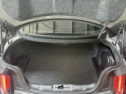 
										Ford Mustang GT Fastback – 5.0 V8 full									