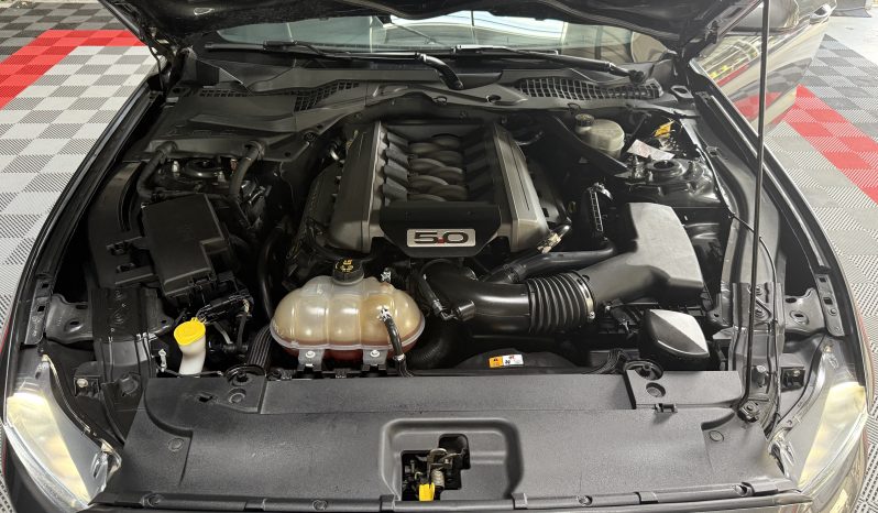 
								Ford Mustang GT Fastback – 5.0 V8 full									